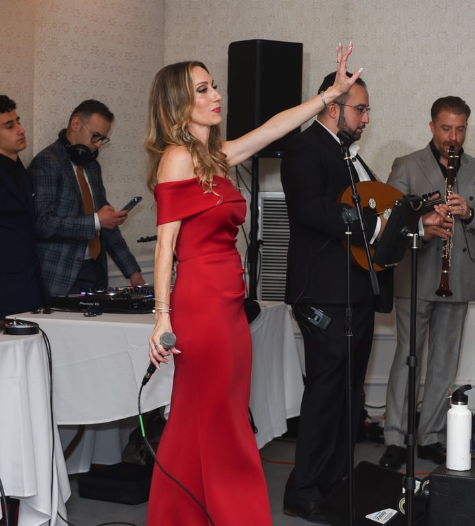 Gallery photo from a previous HMADS gala