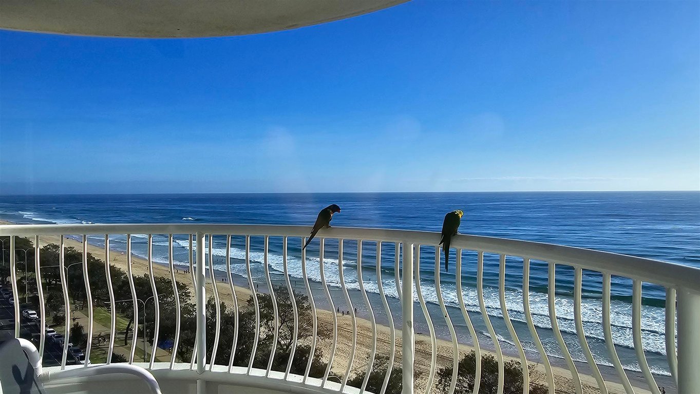 1 Bedroom Standard Apartment (Higher Floor)