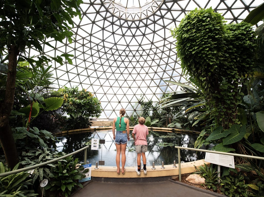 Mount Coot-tha Lookout, Brisbane Botanic Gardens and Sir Thomas Brisbane Planetarium