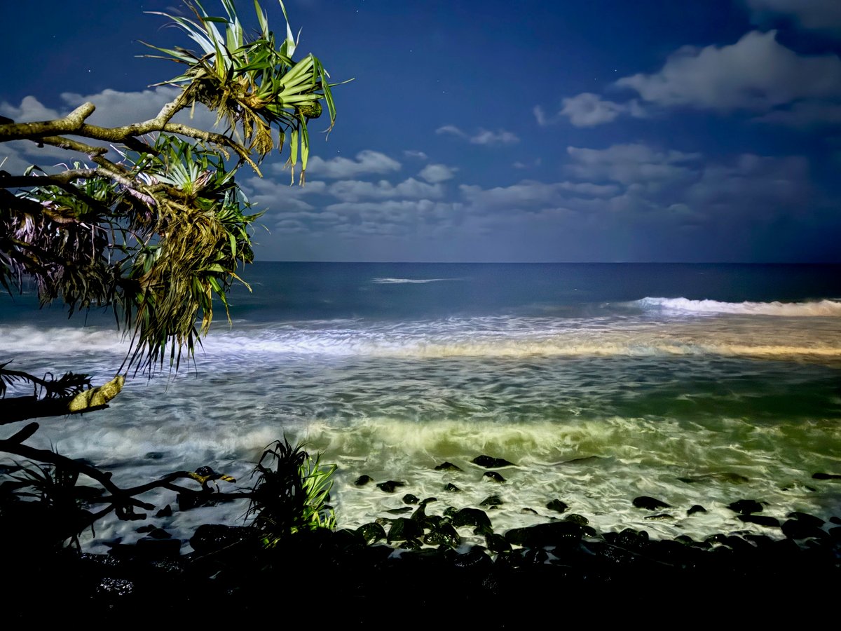 Burleigh Palms is an Oasis amongst the Highrise
