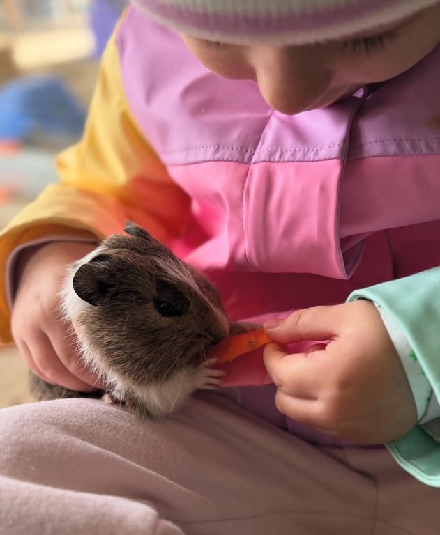 Sunflowers Animal Farm