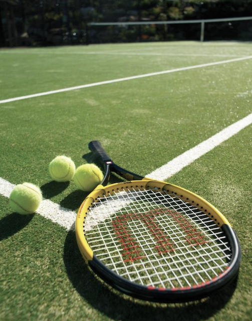 Treetops Suite, 2 Guests