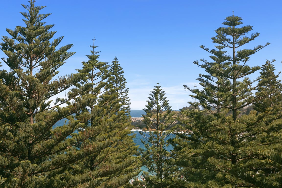 ARD12 - Coogee coastal comfort | Relaxed coastal living