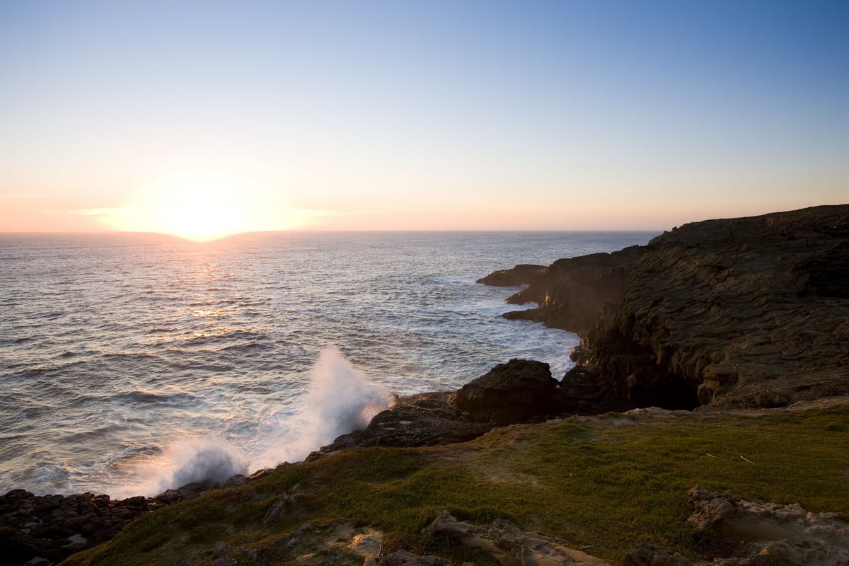 Discover all our area has to offer