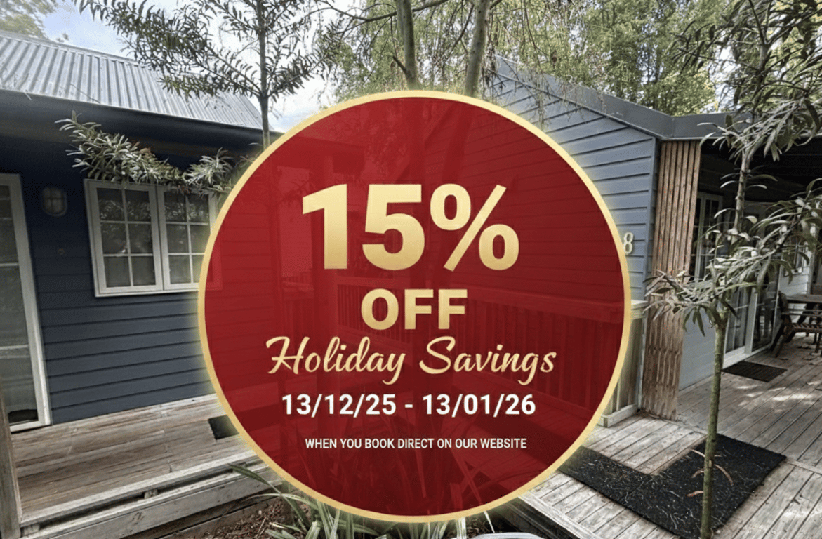 Christmas and New Year Promo