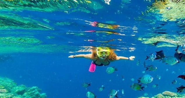 Explore the Whitsundays - your way