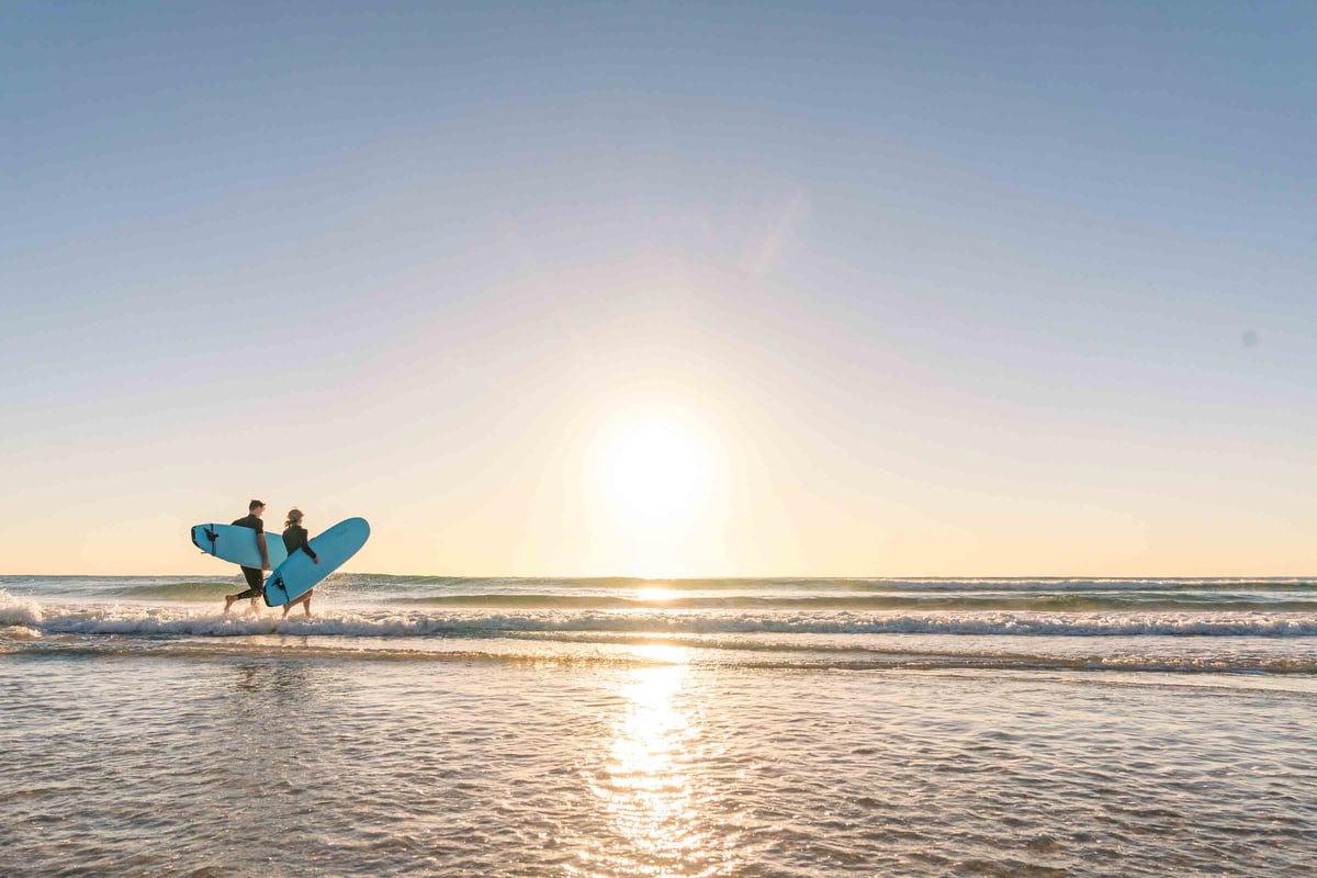 Terms and Conditions