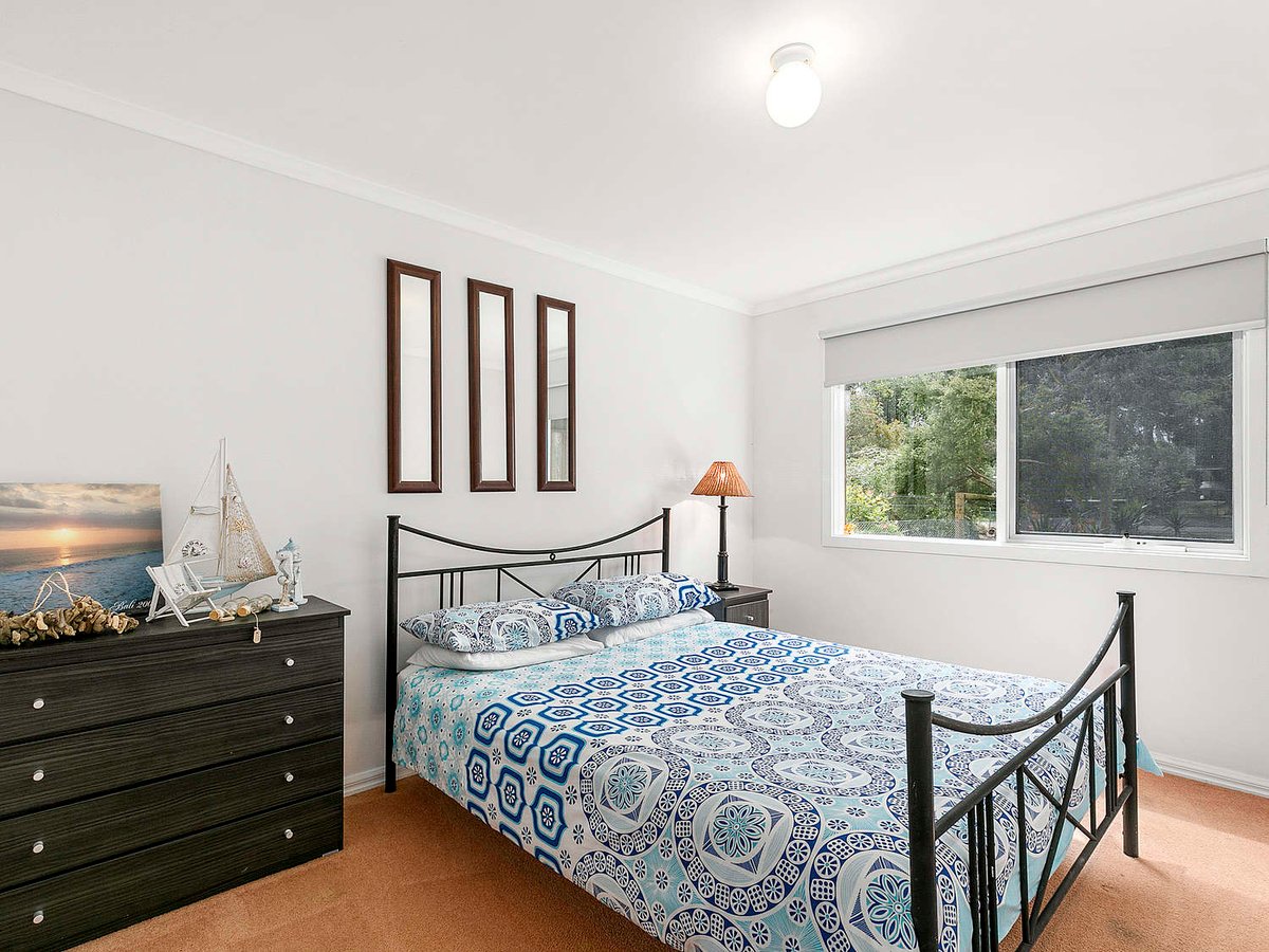 Silverleaves on the Beach