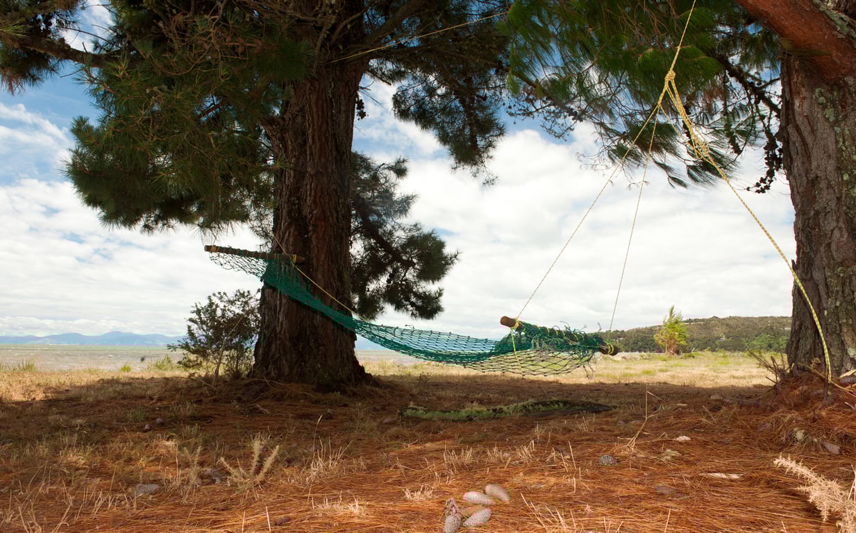 Haumoana (Only Available to Wakatu Shareholders)