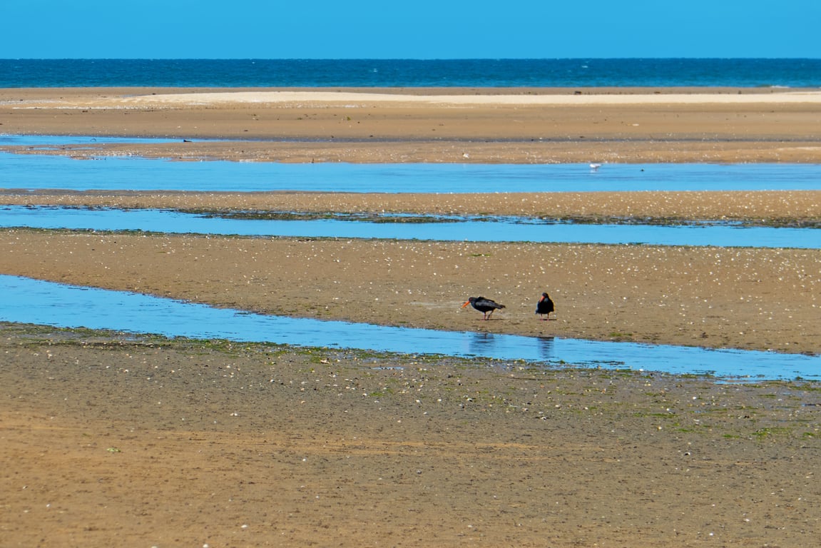 Innisfree Marahau Retreat - New Listing!