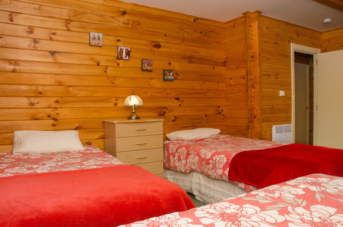 Oregon Treasure - Hanmer Springs Holiday Home (Pet Friendly) 