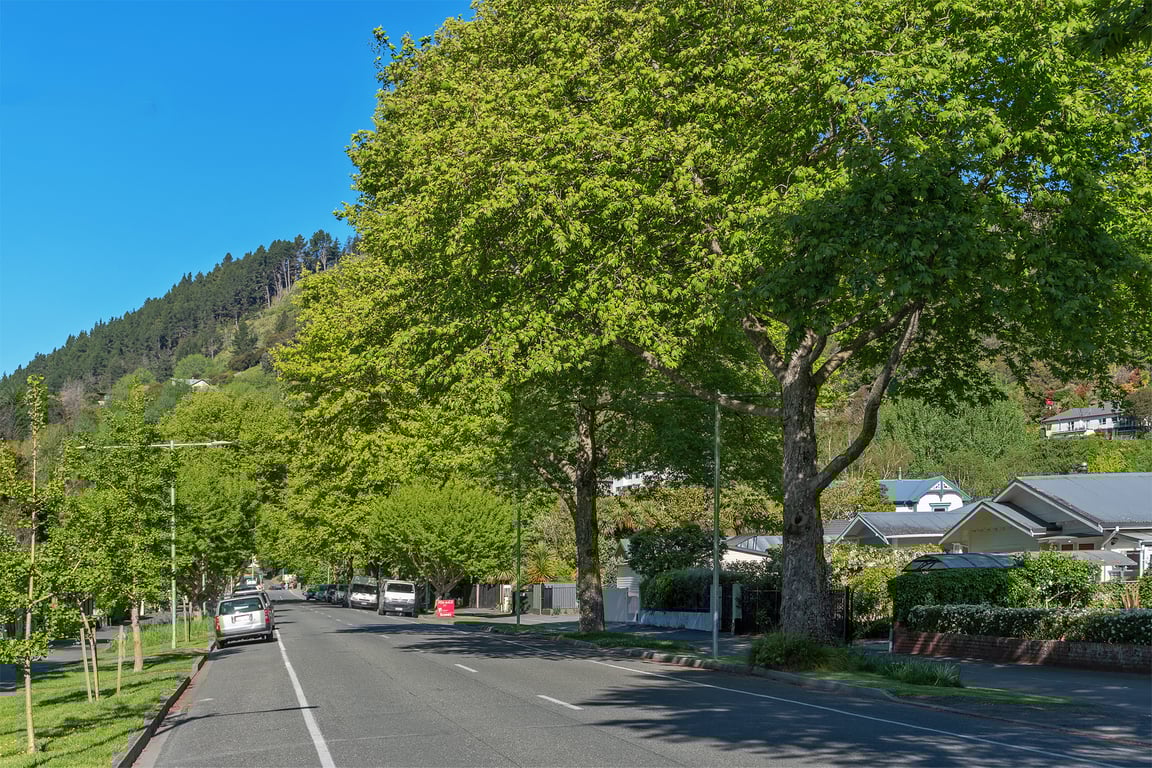The Nile Street Bungalow