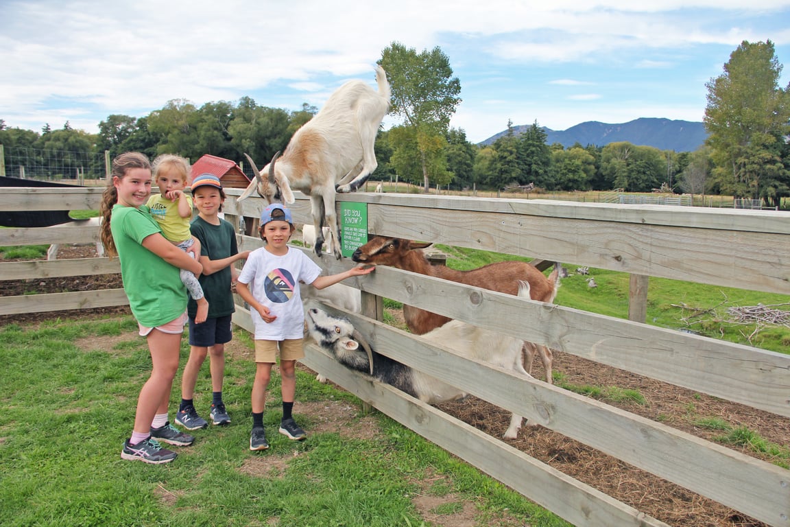 Hanmer Springs Animal Park