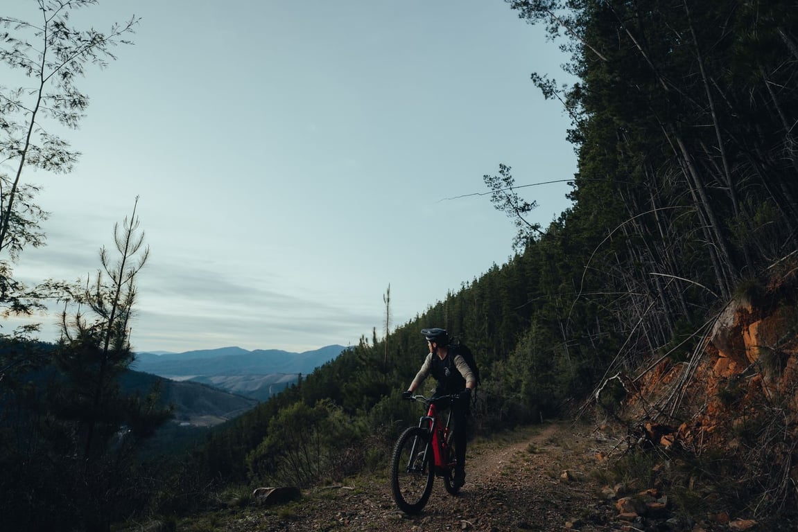 Mountain Biking - Mystic Park