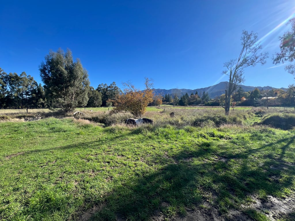 House Horse & Hound on Argelins (Pet Friendly) 