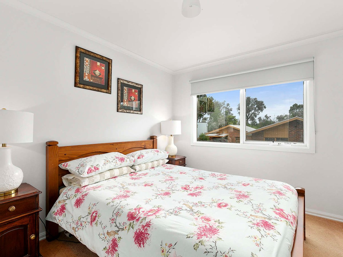 Silverleaves on the Beach