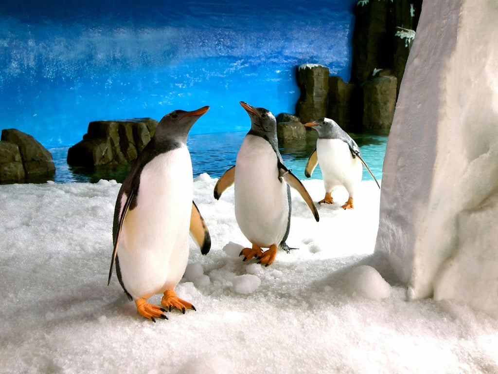 CBD - SEALife Aquarium