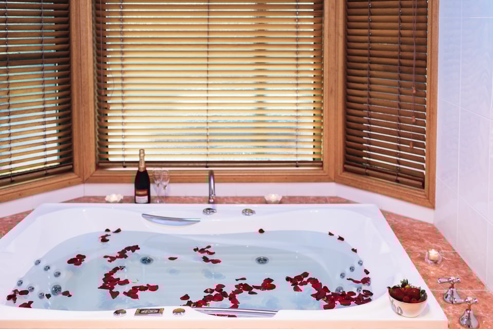 Treetops Suite, 2 Guests