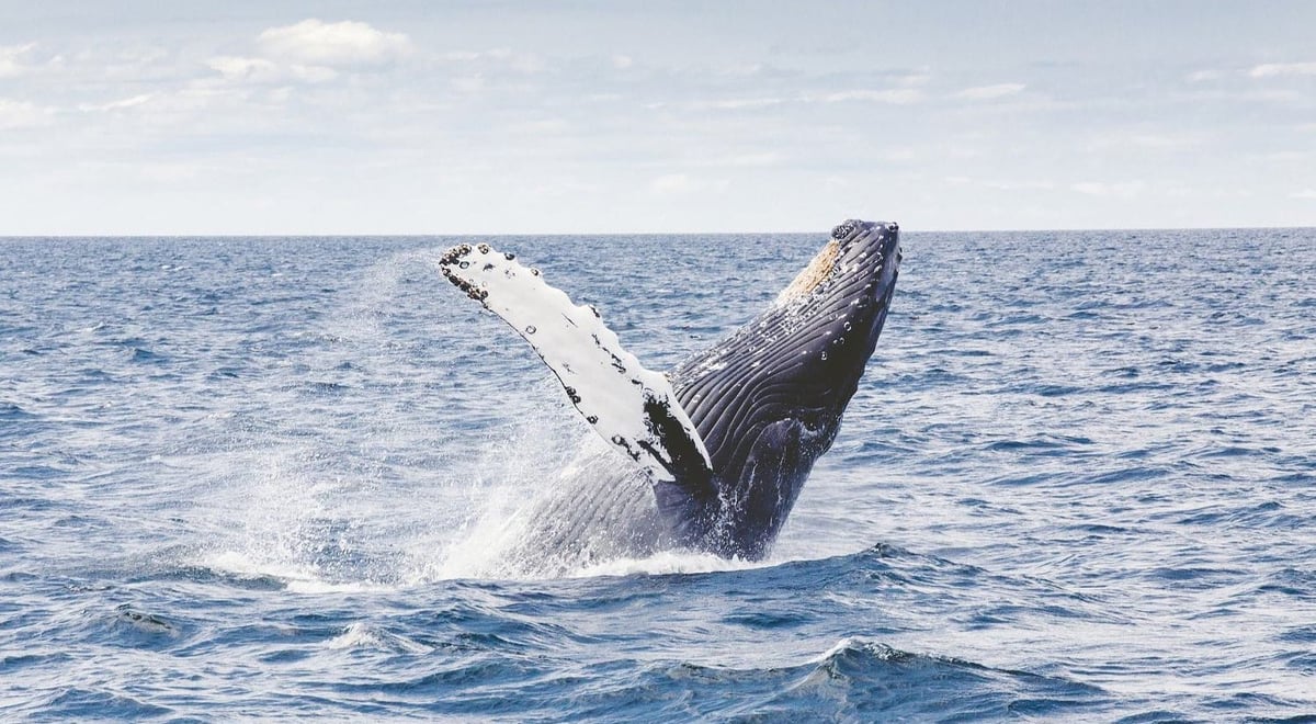 Columbia has it all.