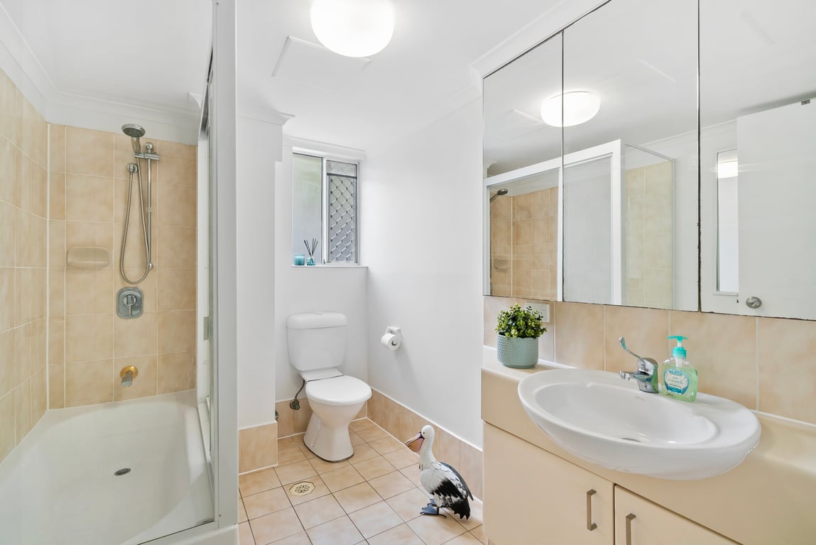 2 Bedroom  Apartment