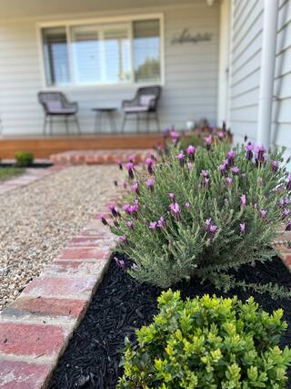 Ailsafield - Home in the heart of Mansfield