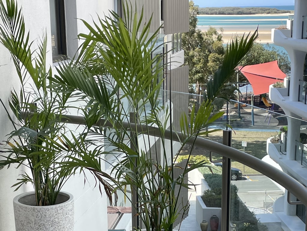 Unit 10511@The Cosmopolitan Cotton Tree