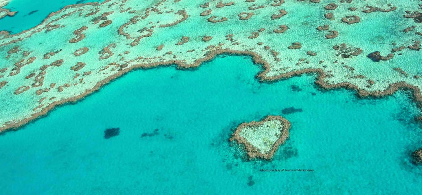 What to do in The Whitsundays!