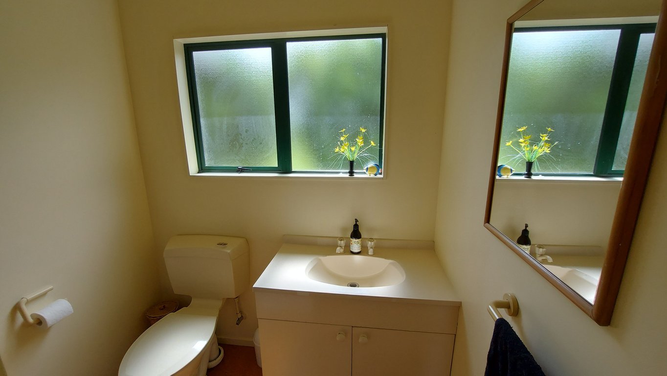 The Lake House - Wharewaka Point Bach