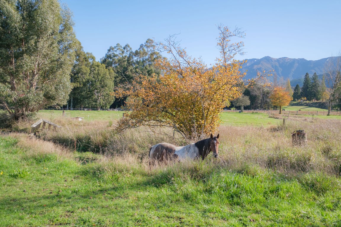 House Horse & Hound on Argelins (Pet Friendly) 