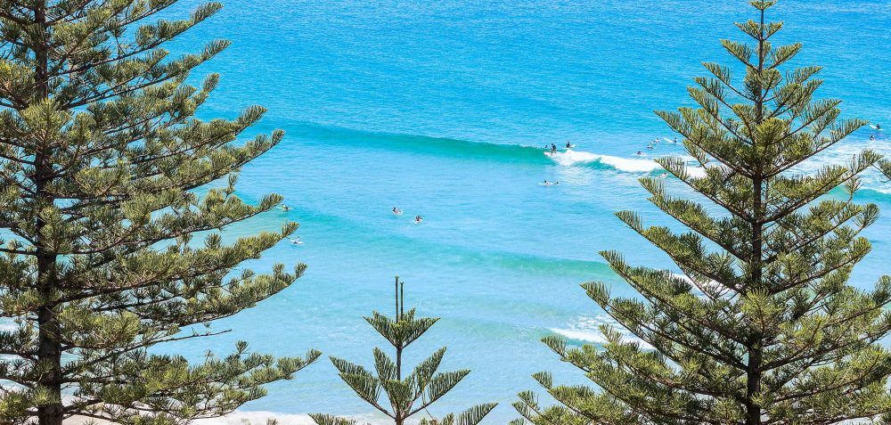 2 Bedroom Superior Apartment