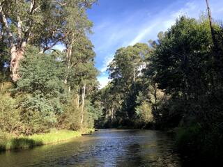 Tranquil Holiday house in Kevington