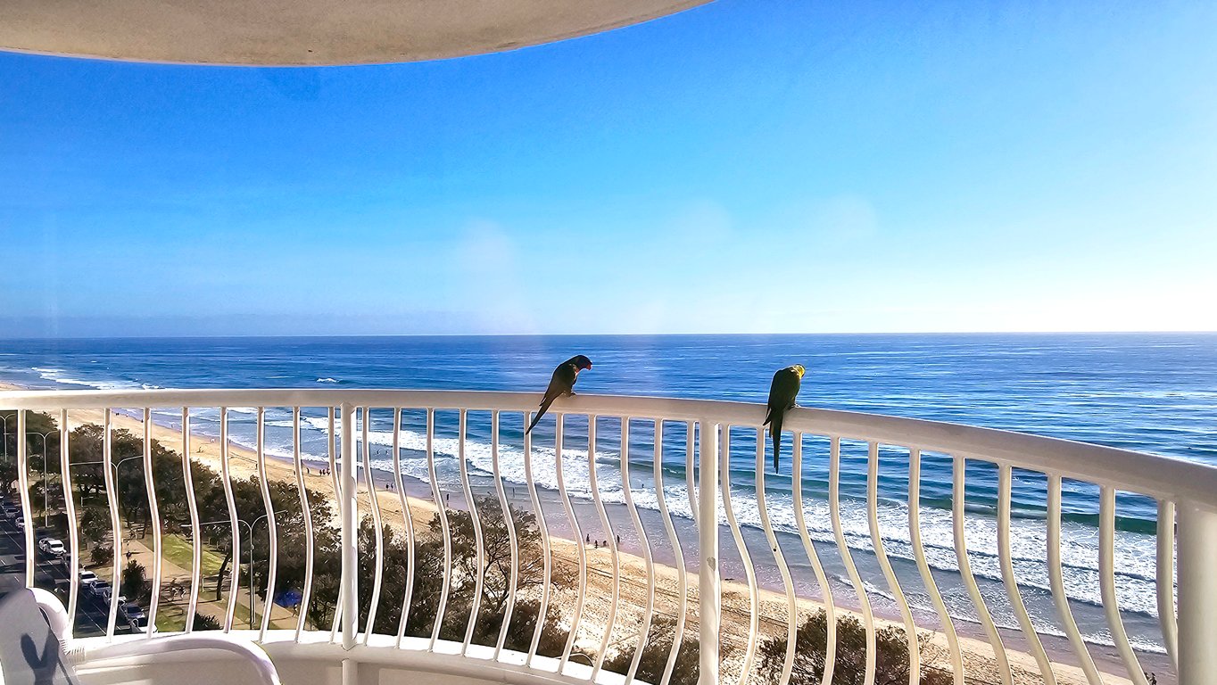 2 Bedroom Standard Apartment