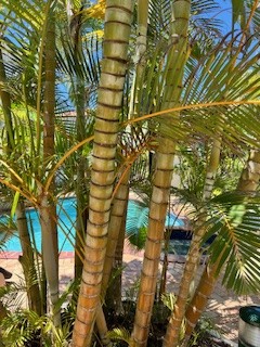 3 Bedroom Private Ground Floor Beachfront Villa 2 with A/C 