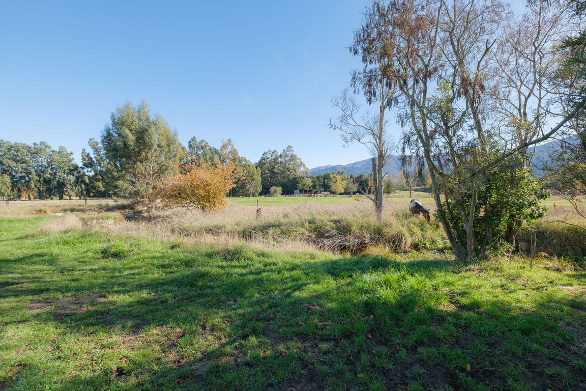 House Horse & Hound on Argelins (Pet Friendly) 