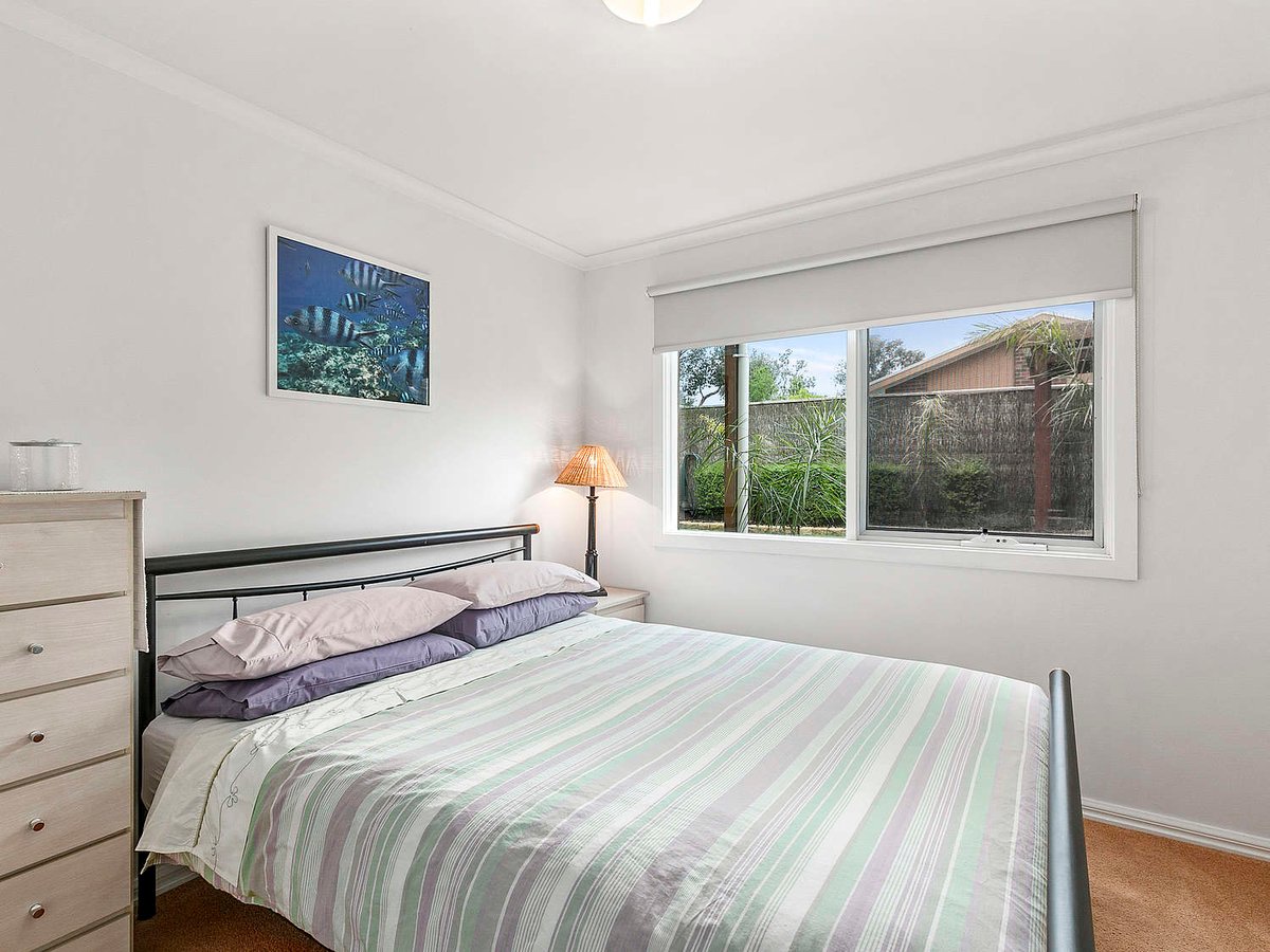 Silverleaves on the Beach