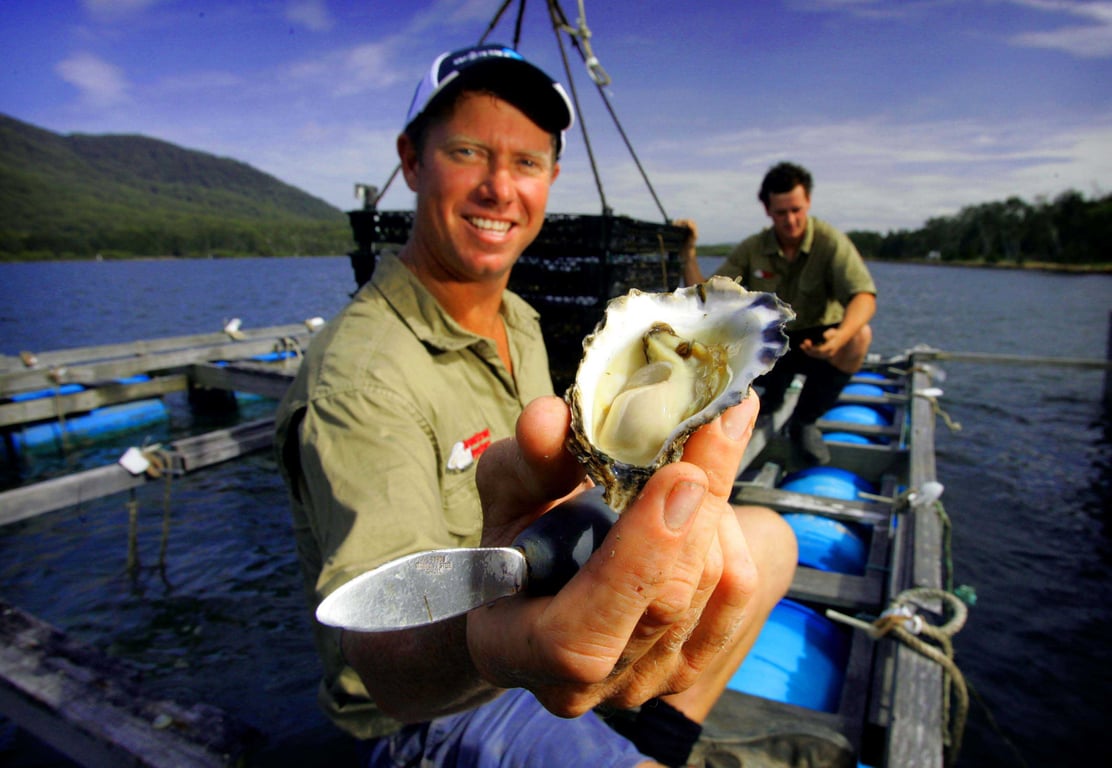 Armstrong Oysters