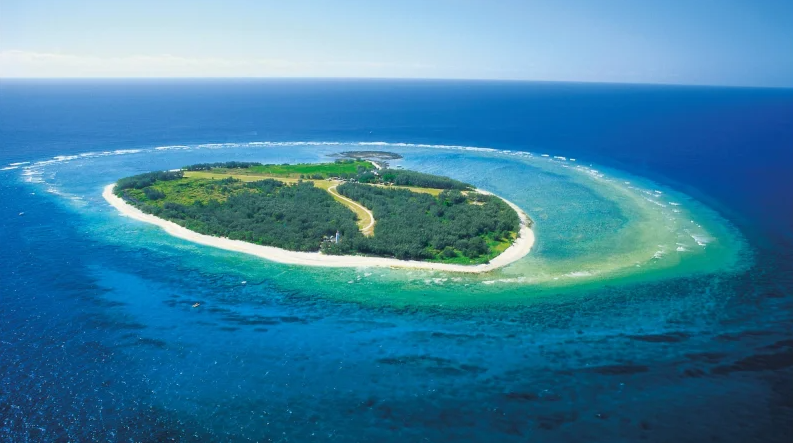 Lady Elliot Island