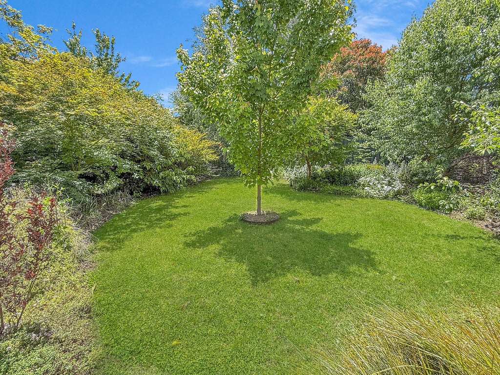 Tickety-Boo on Collopy