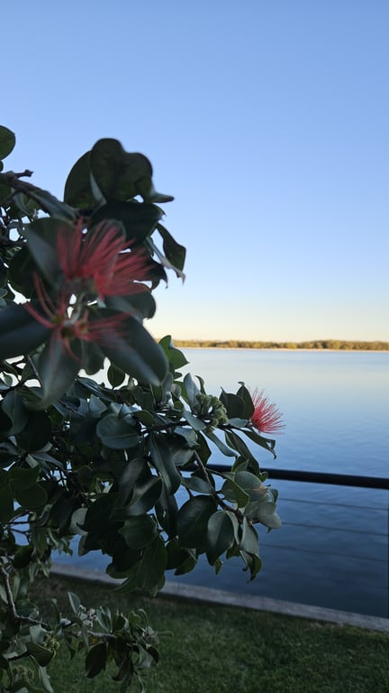 Two Bedroom Ocean View