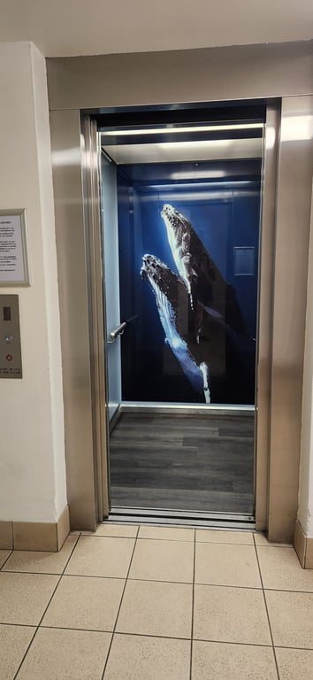 Premium Ocean View Apartment