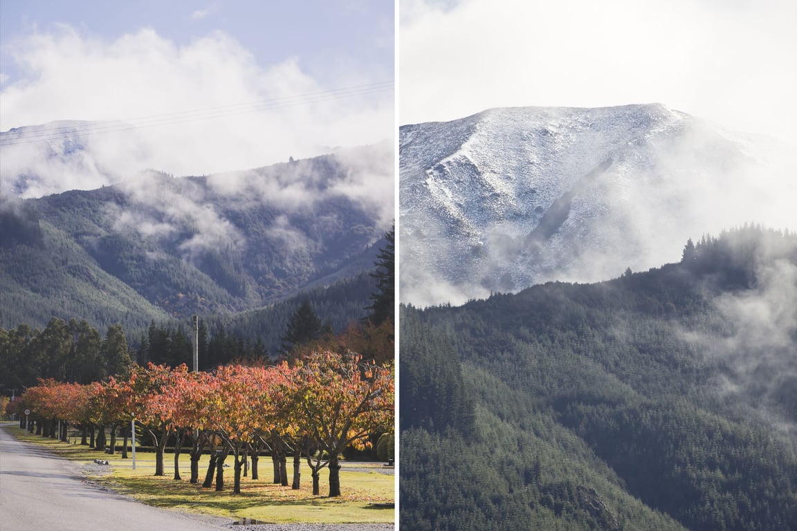 Sunny Family Retreat 