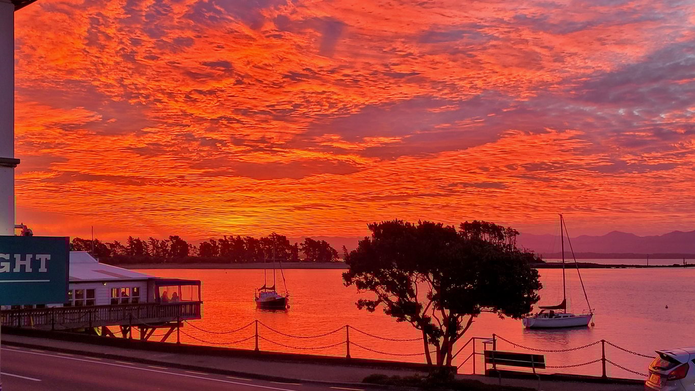 The Pilot House - Nelson - 1862