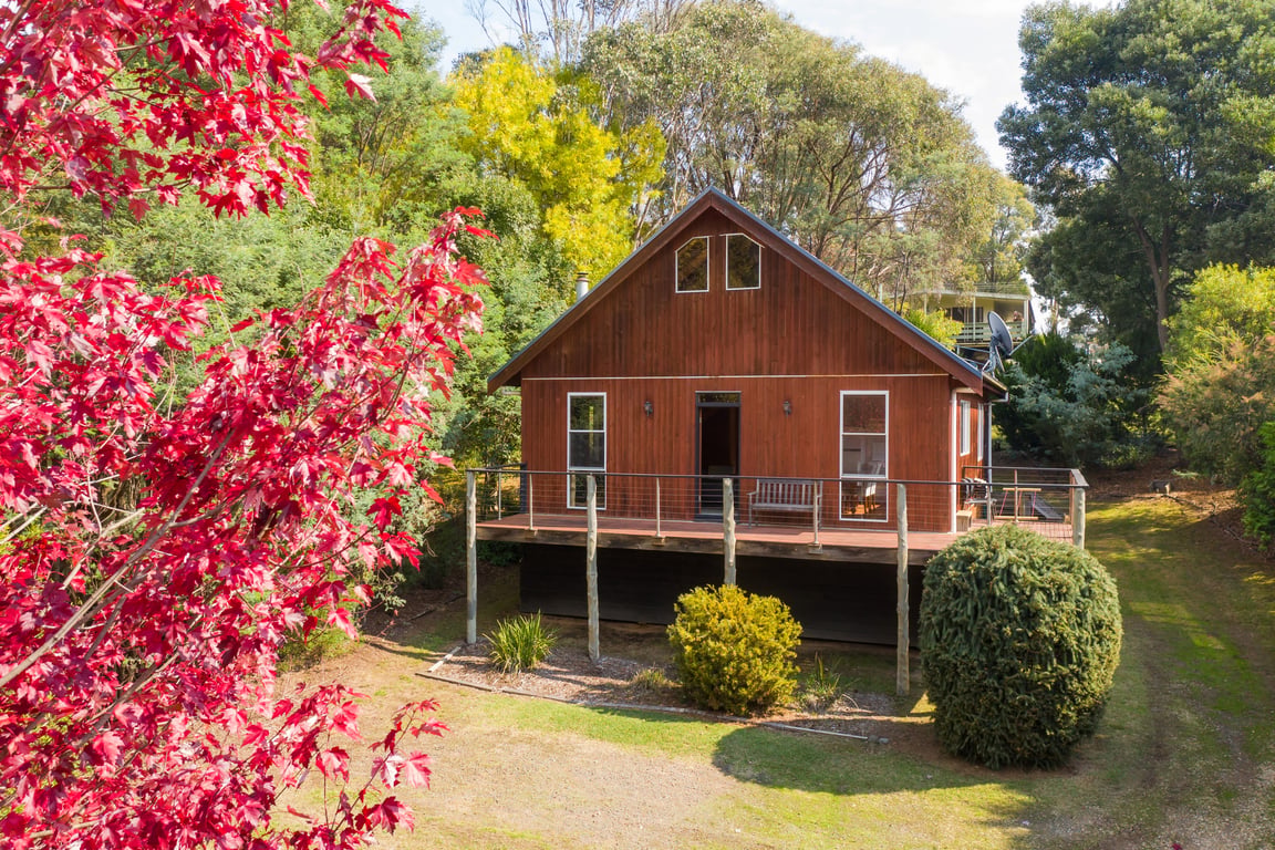 The Shack 