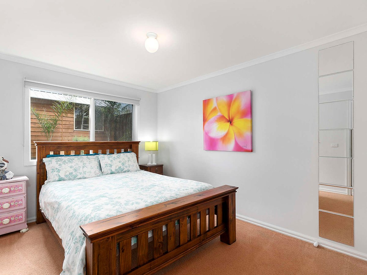 Silverleaves on the Beach