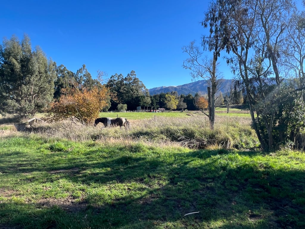 House Horse & Hound on Argelins (Pet Friendly) 