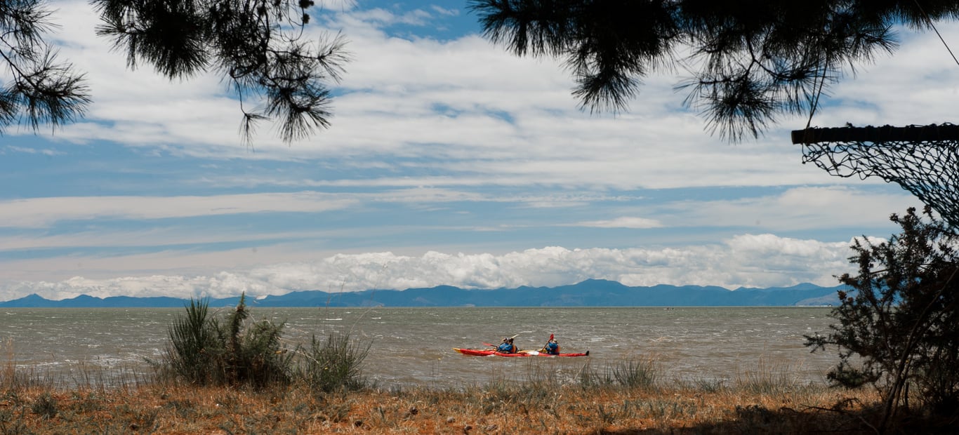 Haumoana (Only Available to Wakatu Shareholders)