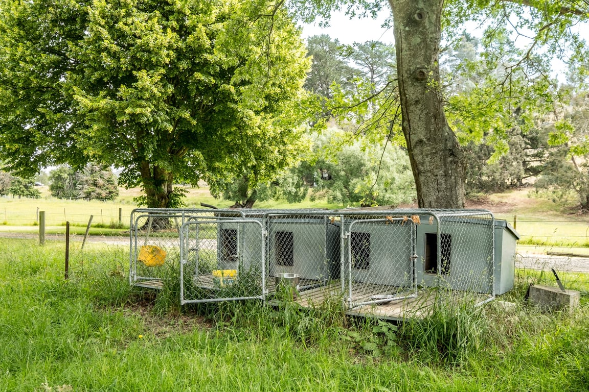 'The Lookout' Lochiel