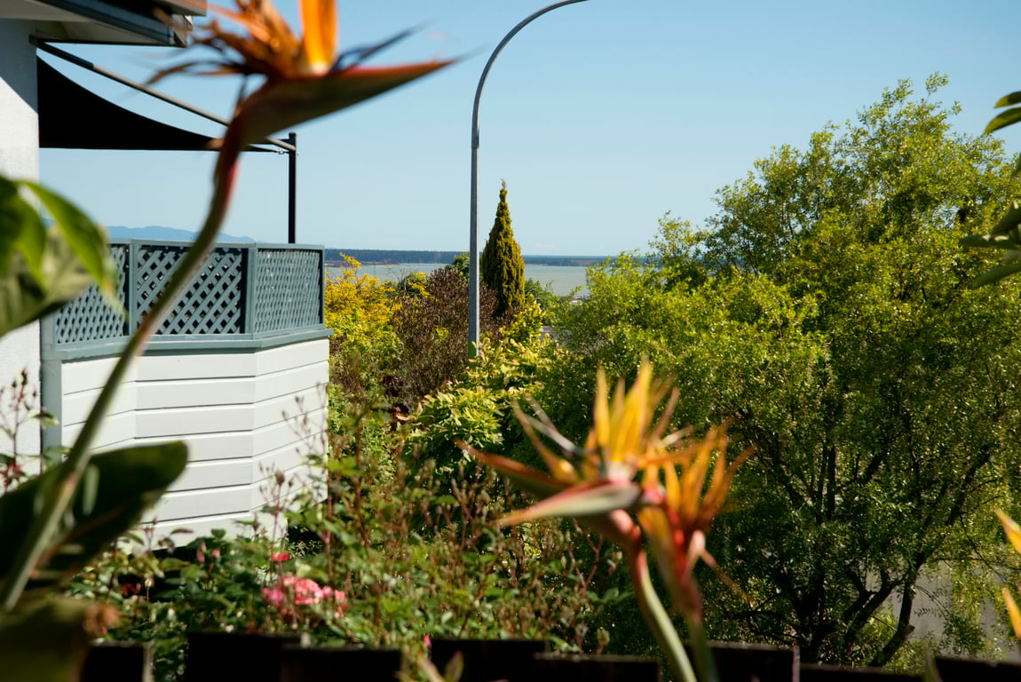 Sunny Richmond Holiday Home