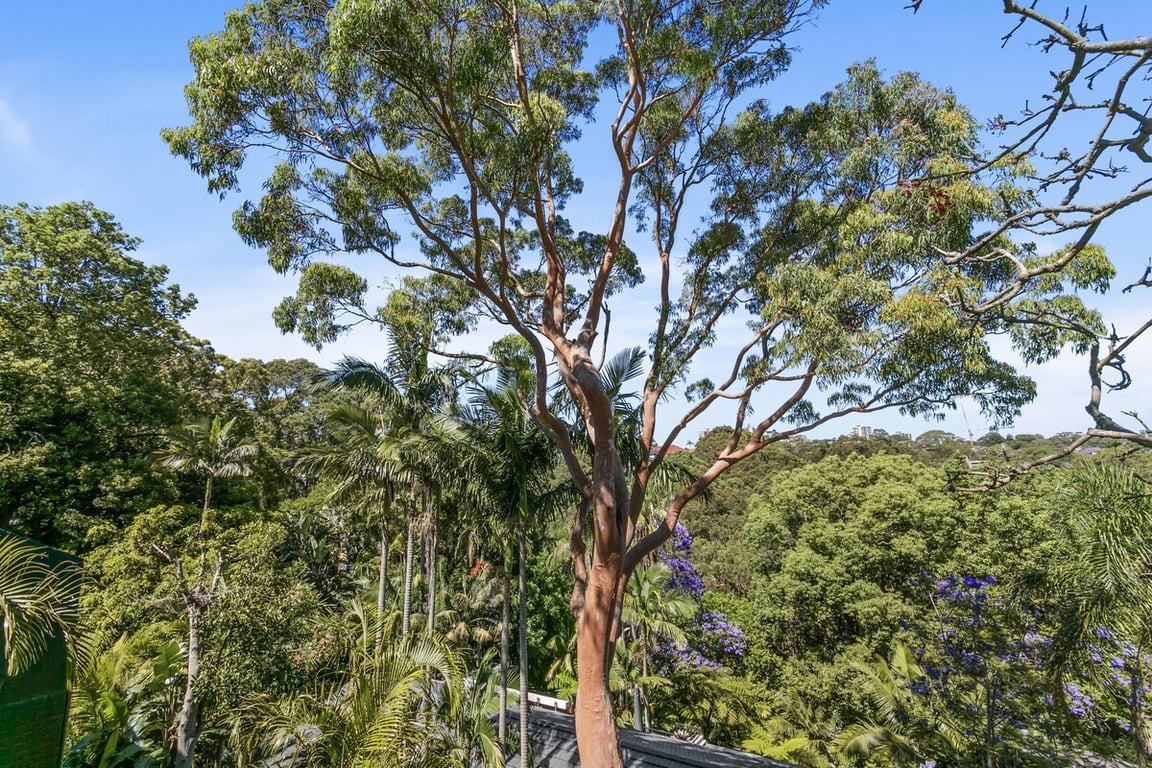 TOB14 - Cremorne Comfort | Sunlit Terrace With Leafy Views