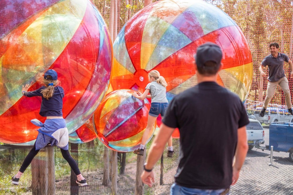 WildNets Adventure Park